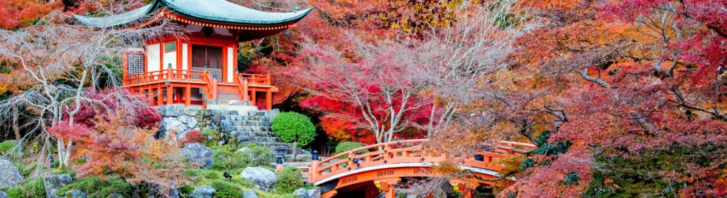 japan-jesen-fakat-drugacija-zemlja-putovanje