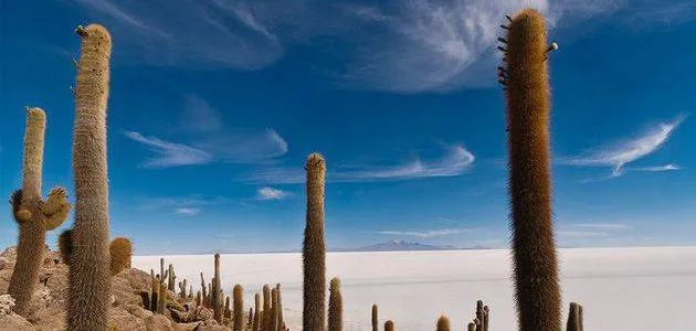 Peru i Bolivija, avantura u srcu Južne Amerike