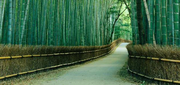 Japan, fakat drugačija zemlja i putovanje